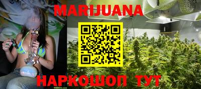 гидра Кимры
