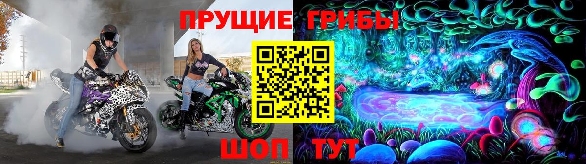 Краснознаменск  Псилоцибиновые грибы GOLDEN TEACHER  Вход с VPN  Псилоцибиновые грибы мицелий 